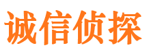 泰和市私家侦探